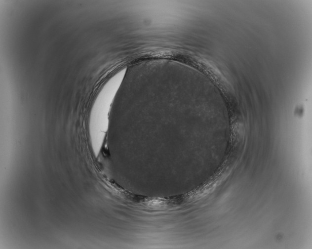 X0000099290325200805231326