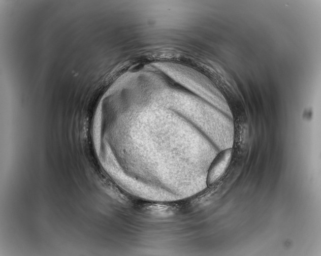 X0000099290326200805231326