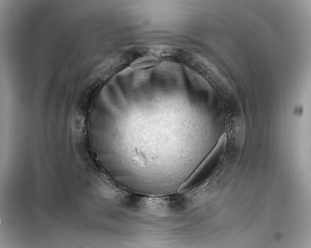 X0000099290327200805231326