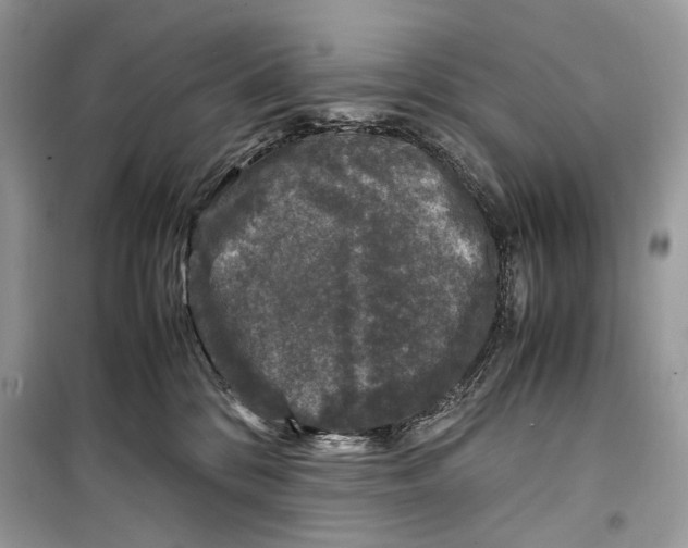 X0000099290328200805231326