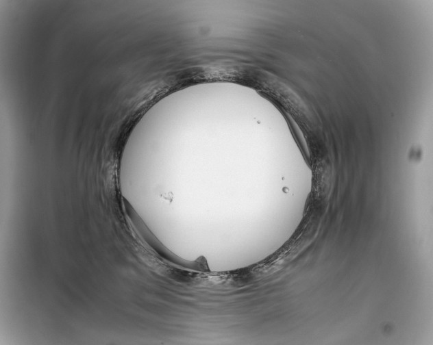 X0000099290329200805231326