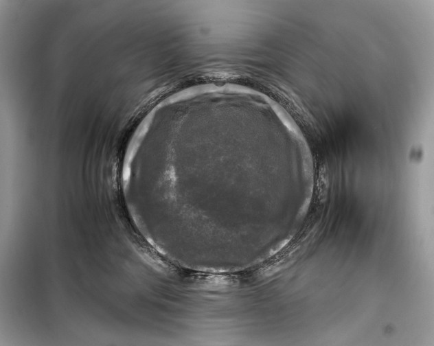 X0000099290330200805231326