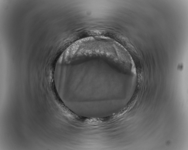 X0000099290331200805231326