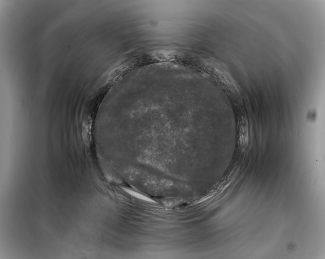 X0000099290332200805231326