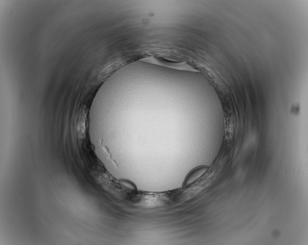 X0000099290334200805231326