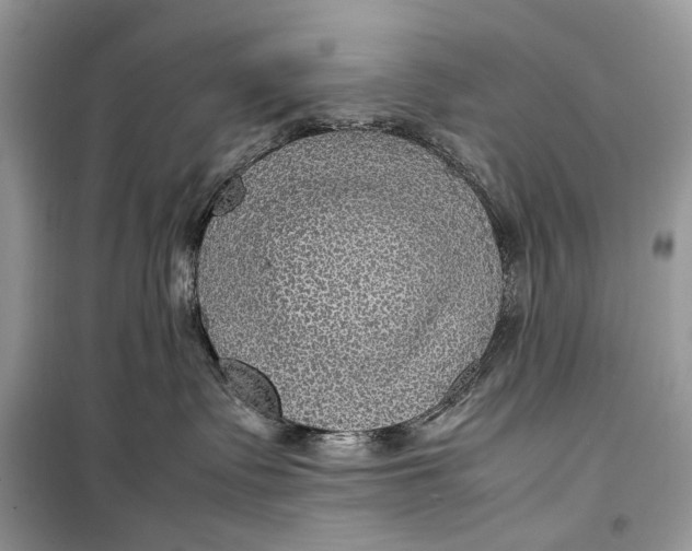 X0000099290335200805231326