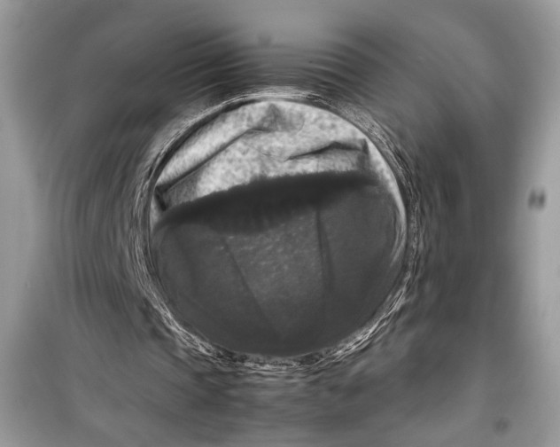 X0000099290337200805231325