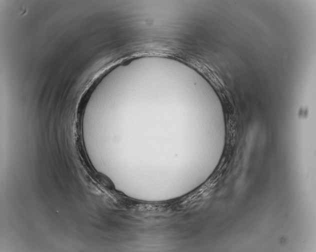 X0000099290338200805231325