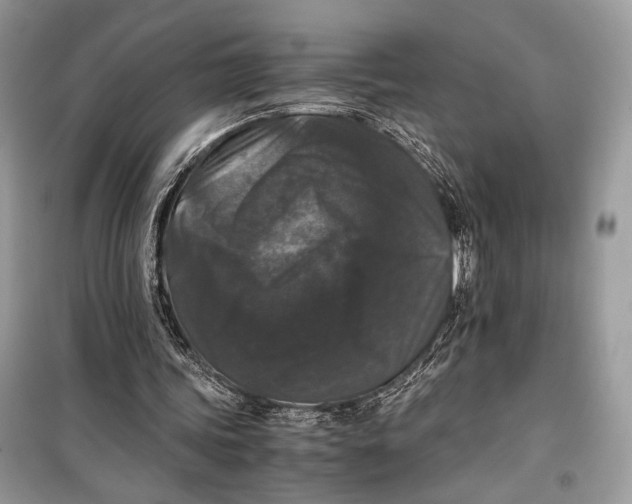 X0000099290339200805231325