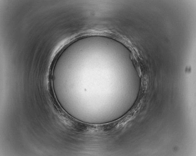 X0000099290340200805231325