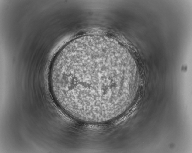 X0000099290341200805231325