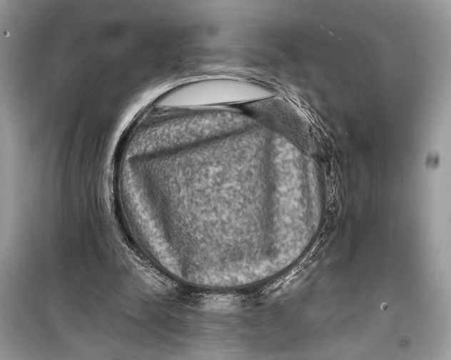 X0000099290342200805231325