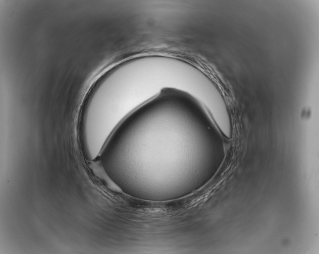 X0000099290344200805231325