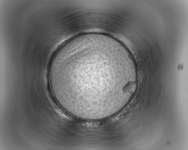 X0000099290345200805231325