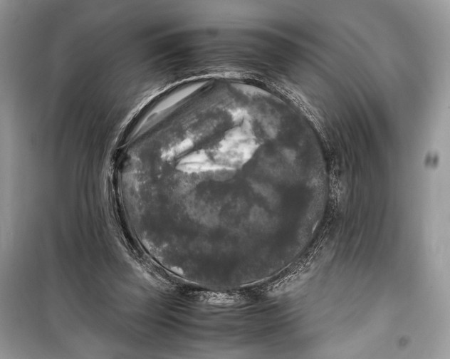 X0000099290347200805231325