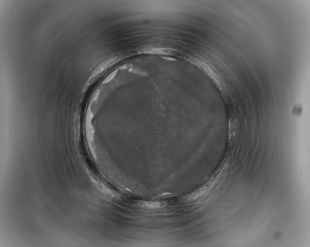 X0000099290349200805231325