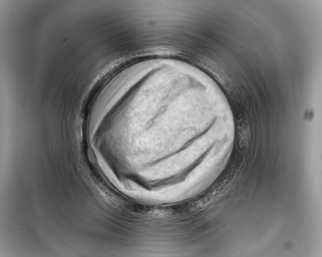 X0000099290350200805231325