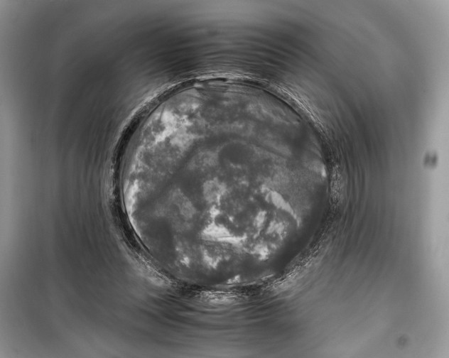 X0000099290351200805231325