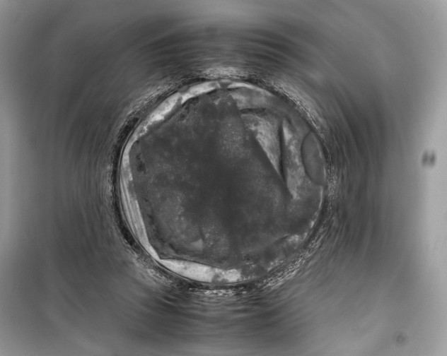 X0000099290353200805231325