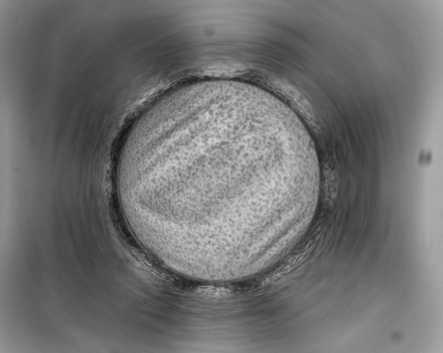 X0000099290354200805231325