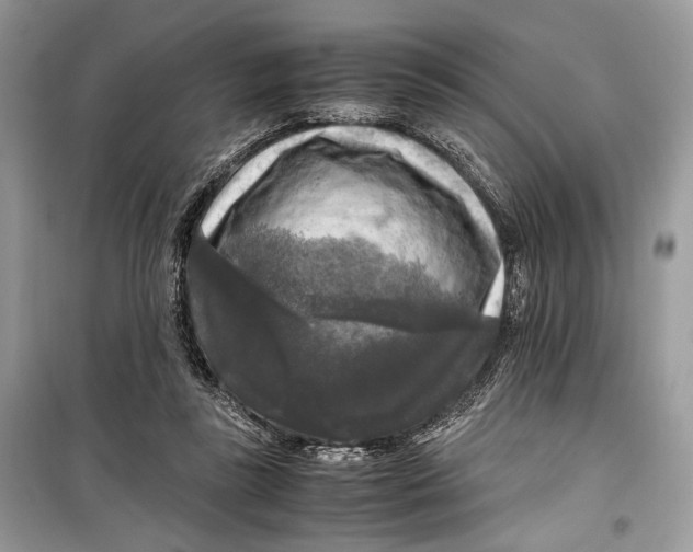 X0000099290355200805231325