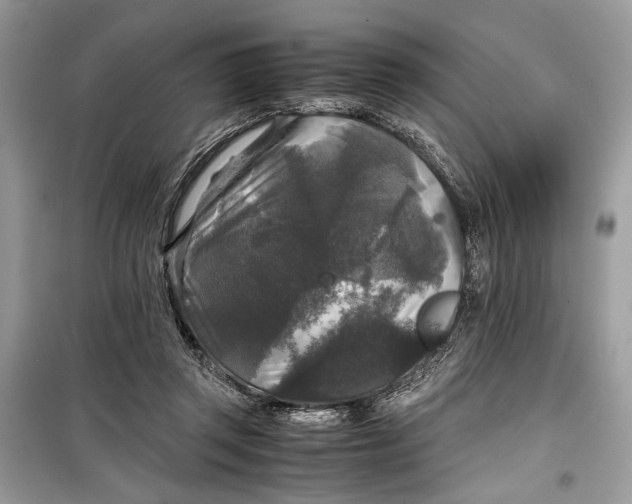 X0000099290357200805231325