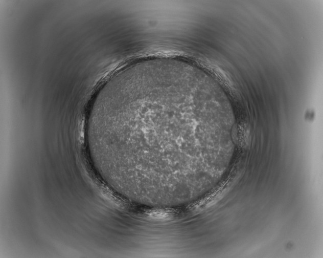 X0000099290358200805231325