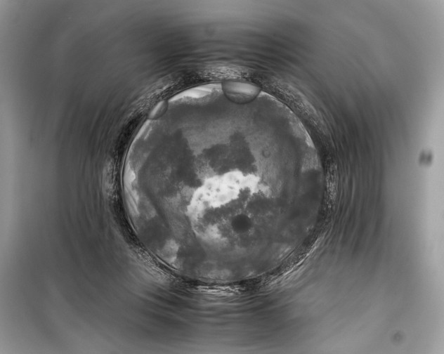 X0000099290359200805231325