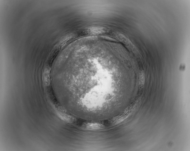 X0000099290360200805231325