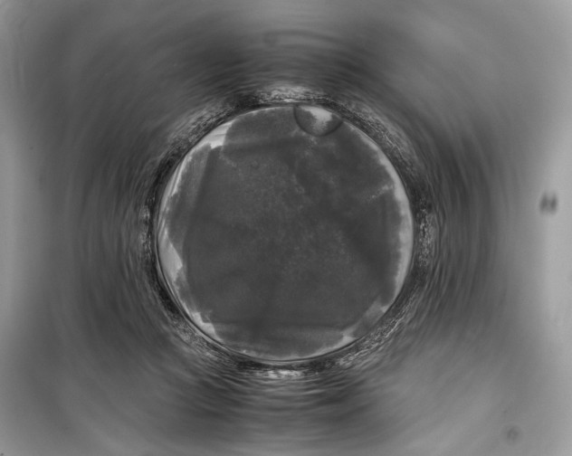 X0000099290361200805231325