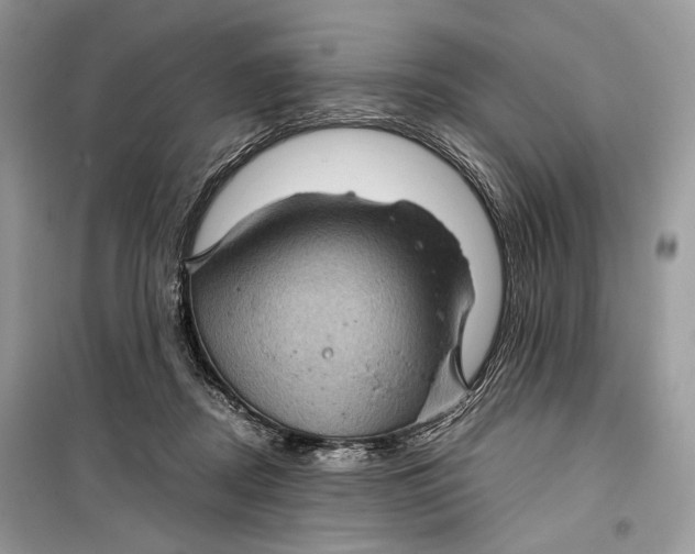 X0000099290362200805231326