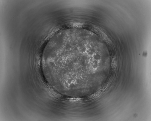 X0000099290363200805231326