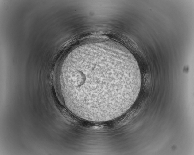 X0000099290364200805231326