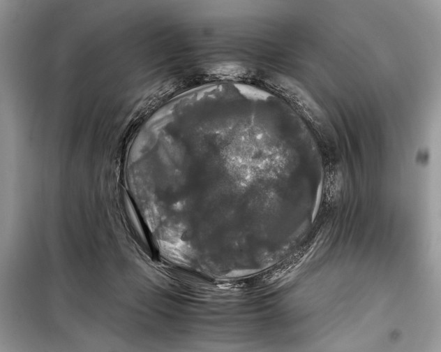 X0000099290365200805231326