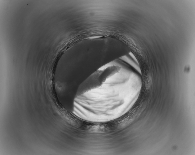 X0000099290366200805231326