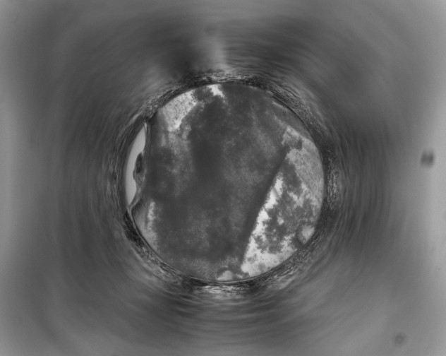 X0000099290367200805231326