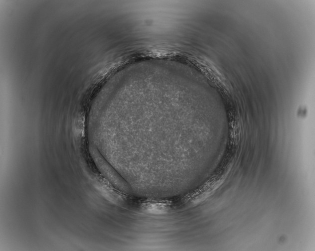 X0000099290368200805231326