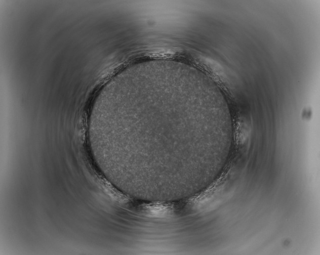 X0000099290370200805231326