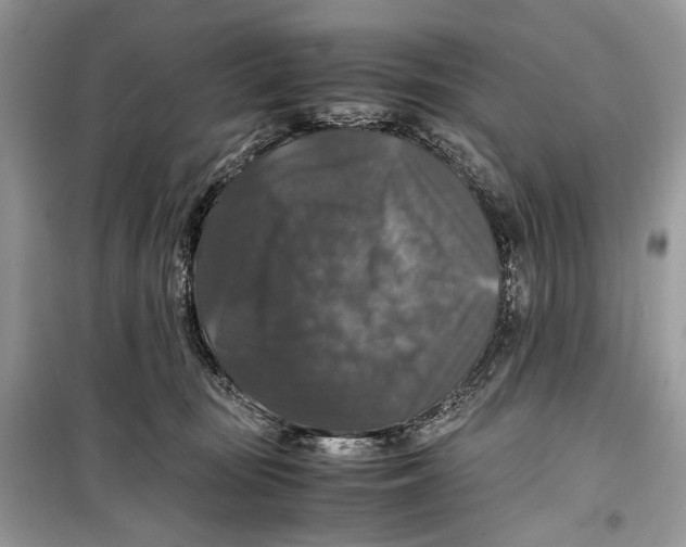 X0000099290371200805231326