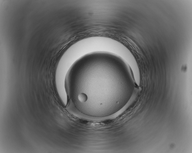 X0000099290372200805231326