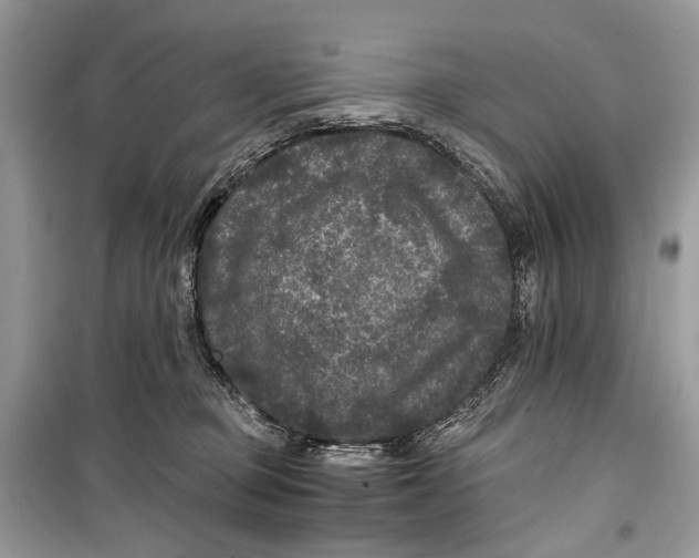 X0000099290373200805231326