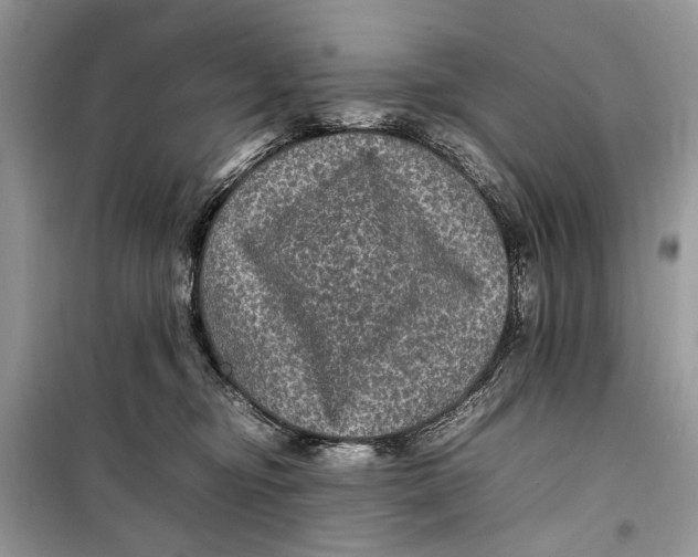 X0000099290374200805231326