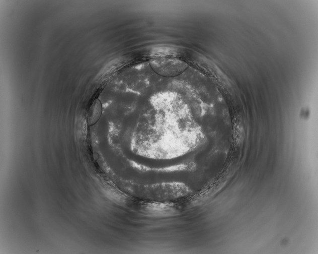 X0000099290375200805231326