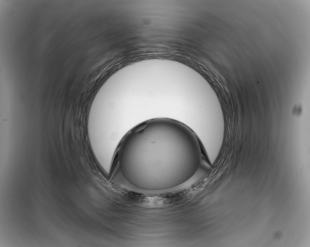 X0000099290376200805231326