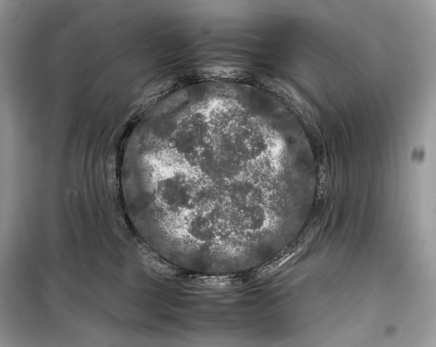 X0000099290377200805231326