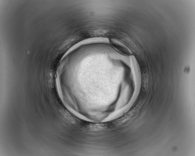 X0000099290378200805231326