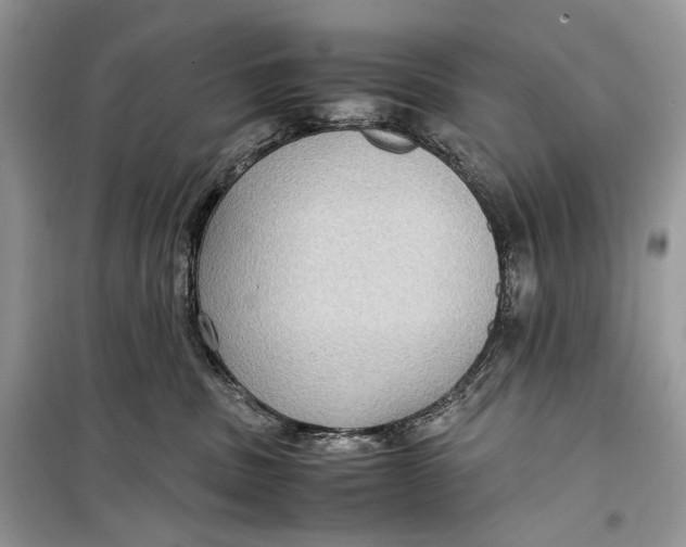 X0000099290379200805231326