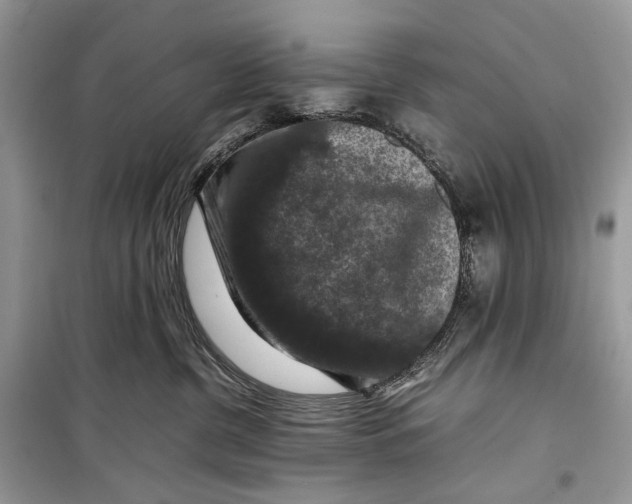 X0000099290380200805231326