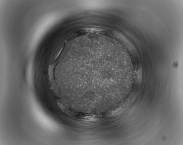 X0000099290381200805231326