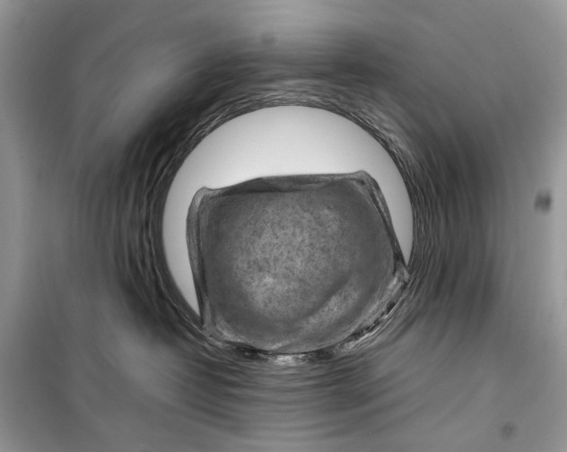 X0000099290382200805231326